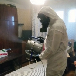 Дезинфекция от клопов в Грозном