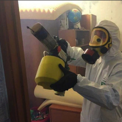 Уничтожение клопов в квартире. Грозный